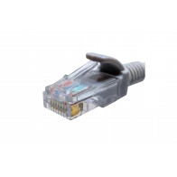 10-0143 SUPRLAN Патч-корд UTP 5e 4x2 26AWG (7x0.16mm) Cu LSZH серый 2м 10-0143 SUPRLAN Патч-корд UTP 5e 4x2 26AWG (7x0.16mm) Cu LSZH серый 2м